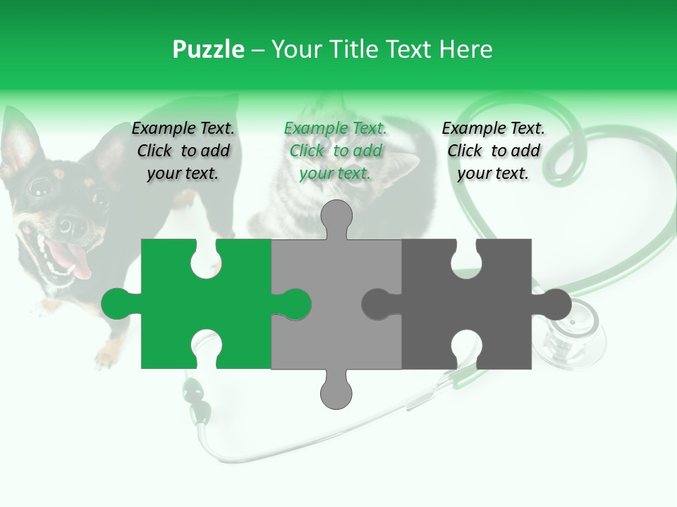 Diagnosis Pet Veterinary PowerPoint Template