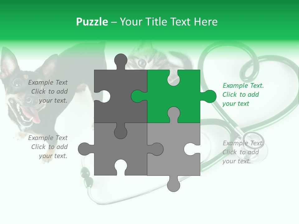 Diagnosis Pet Veterinary PowerPoint Template