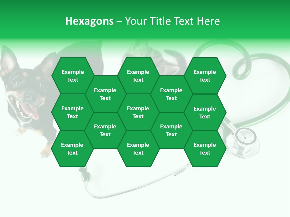 Diagnosis Pet Veterinary PowerPoint Template