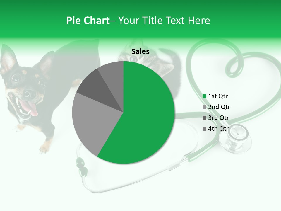 Diagnosis Pet Veterinary PowerPoint Template