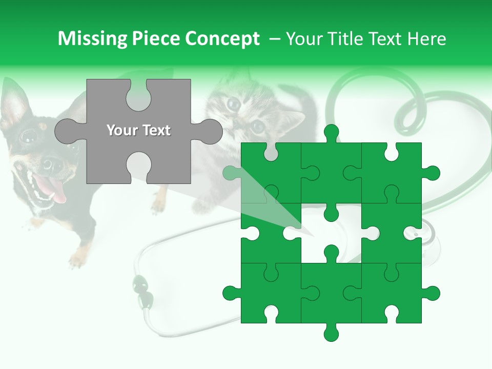 Diagnosis Pet Veterinary PowerPoint Template