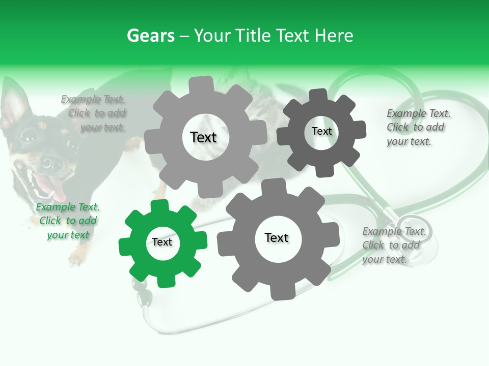 Diagnosis Pet Veterinary PowerPoint Template