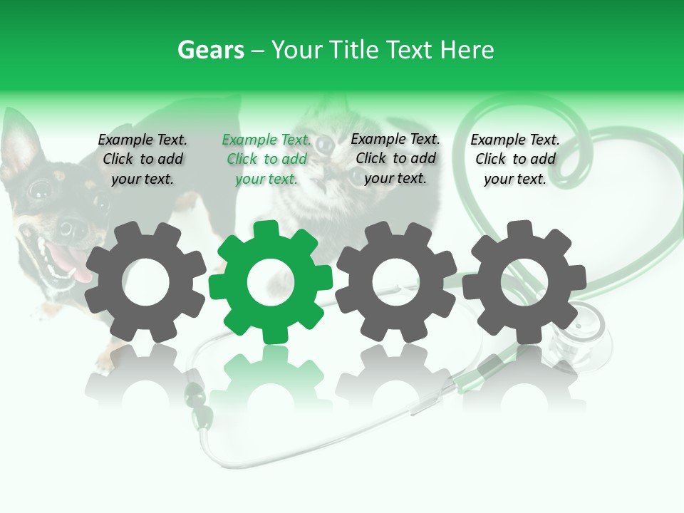 Diagnosis Pet Veterinary PowerPoint Template