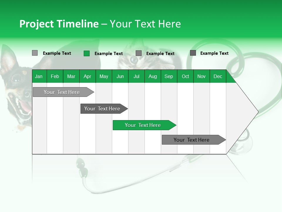 Diagnosis Pet Veterinary PowerPoint Template