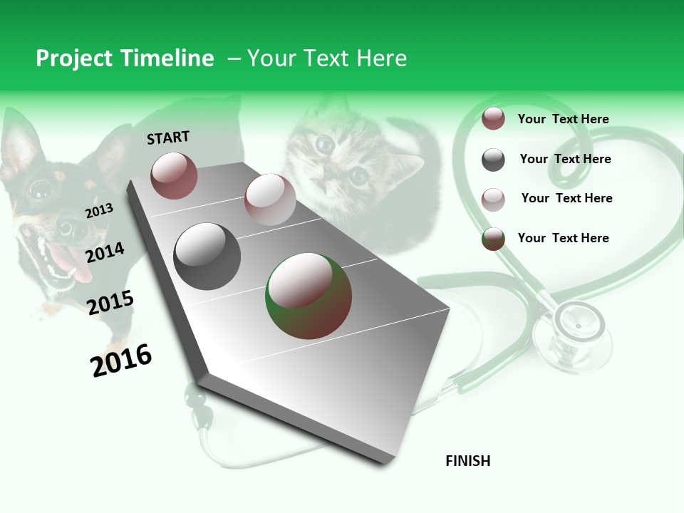 Diagnosis Pet Veterinary PowerPoint Template