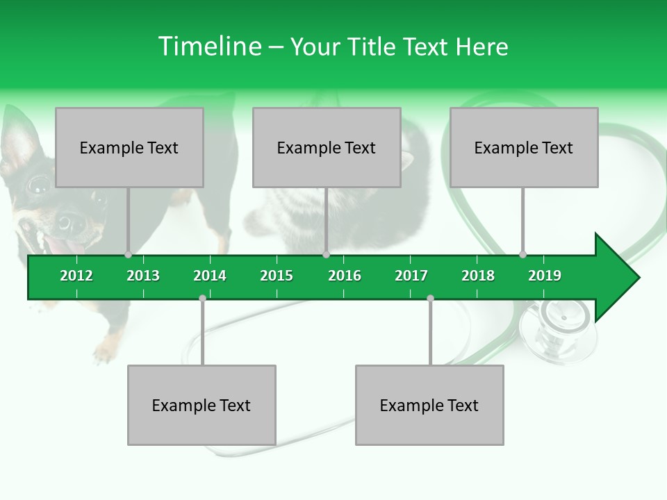 Diagnosis Pet Veterinary PowerPoint Template