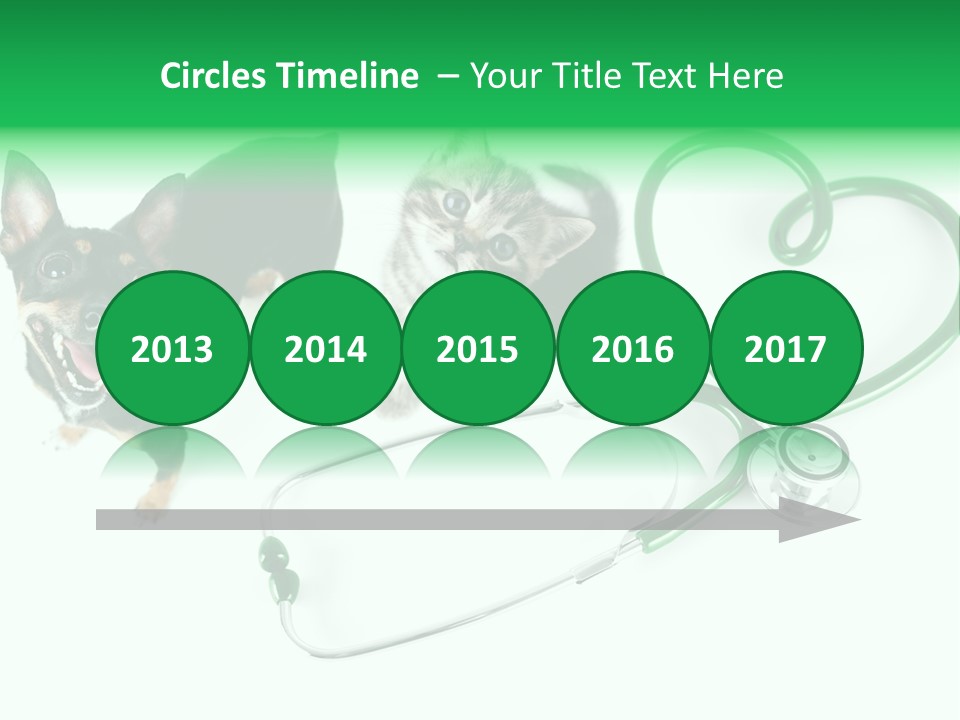 Diagnosis Pet Veterinary PowerPoint Template