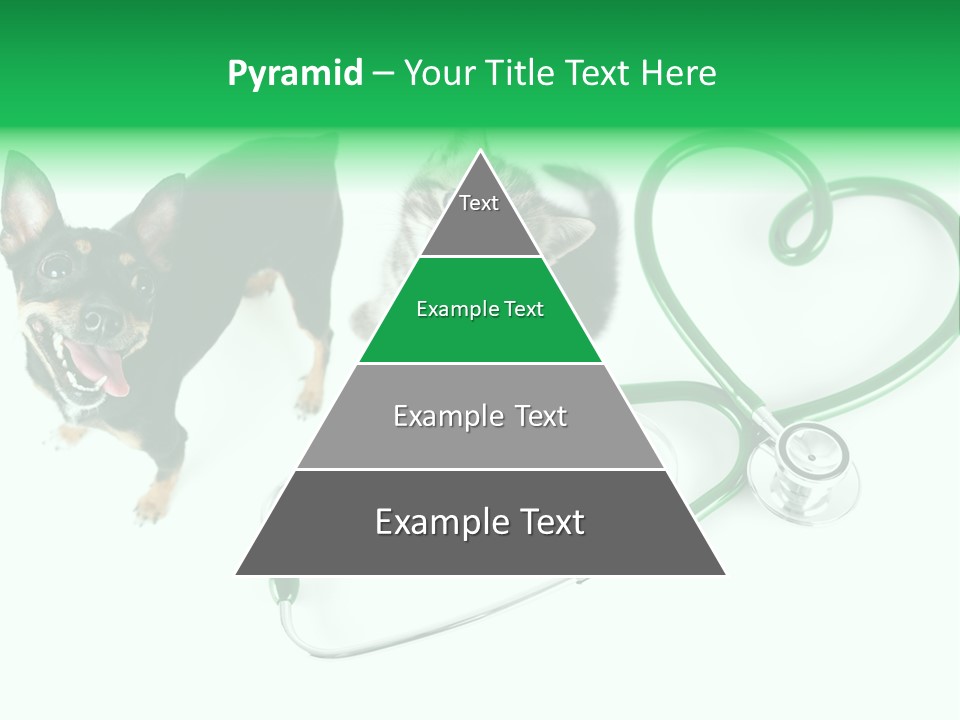Diagnosis Pet Veterinary PowerPoint Template