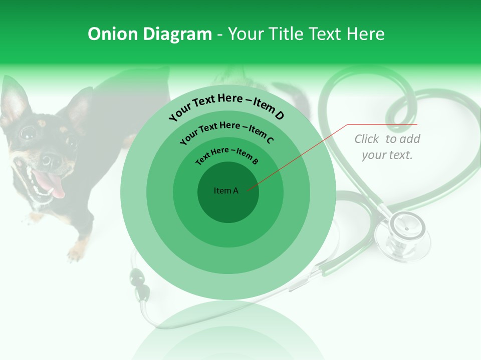 Diagnosis Pet Veterinary PowerPoint Template