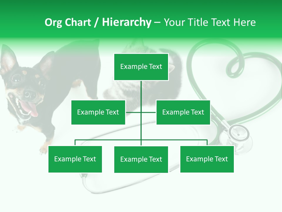 Diagnosis Pet Veterinary PowerPoint Template