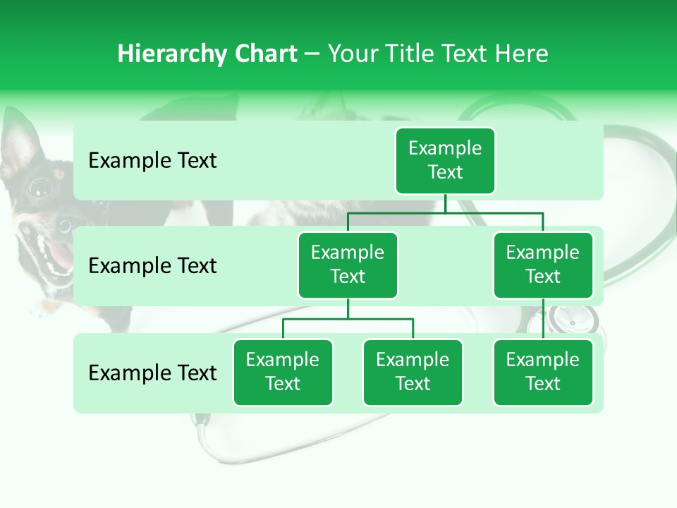Diagnosis Pet Veterinary PowerPoint Template