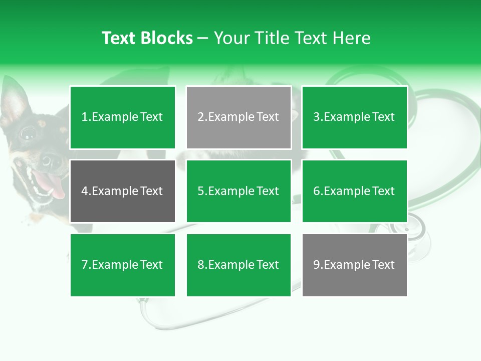 Diagnosis Pet Veterinary PowerPoint Template