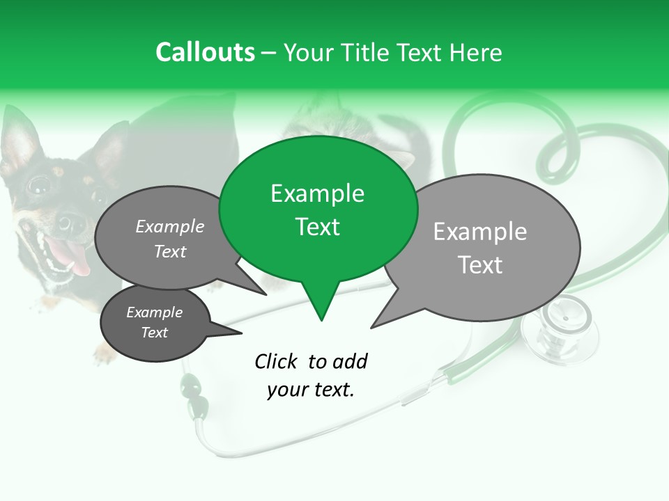 Diagnosis Pet Veterinary PowerPoint Template