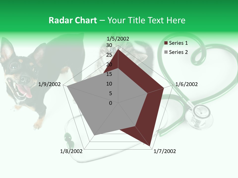 Diagnosis Pet Veterinary PowerPoint Template
