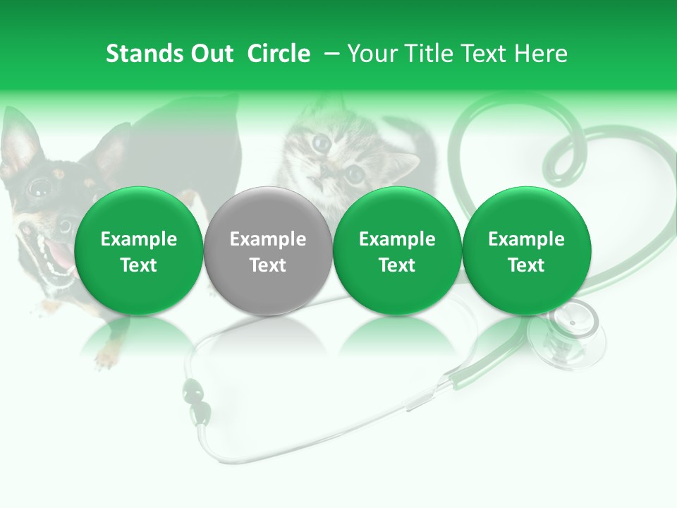 Diagnosis Pet Veterinary PowerPoint Template