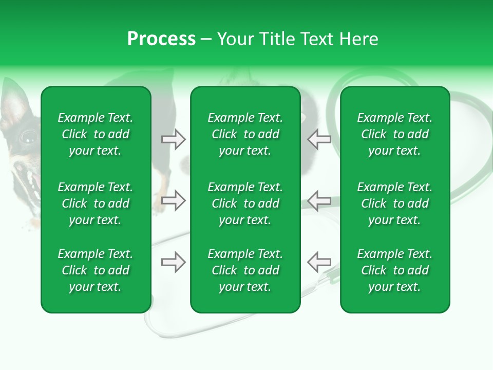 Diagnosis Pet Veterinary PowerPoint Template