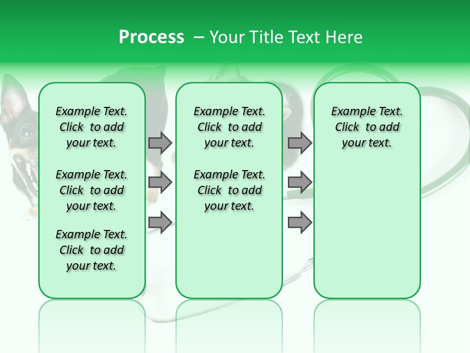 Diagnosis Pet Veterinary PowerPoint Template