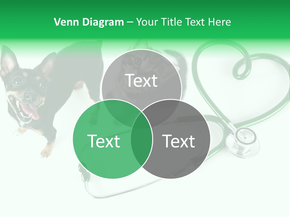 Diagnosis Pet Veterinary PowerPoint Template