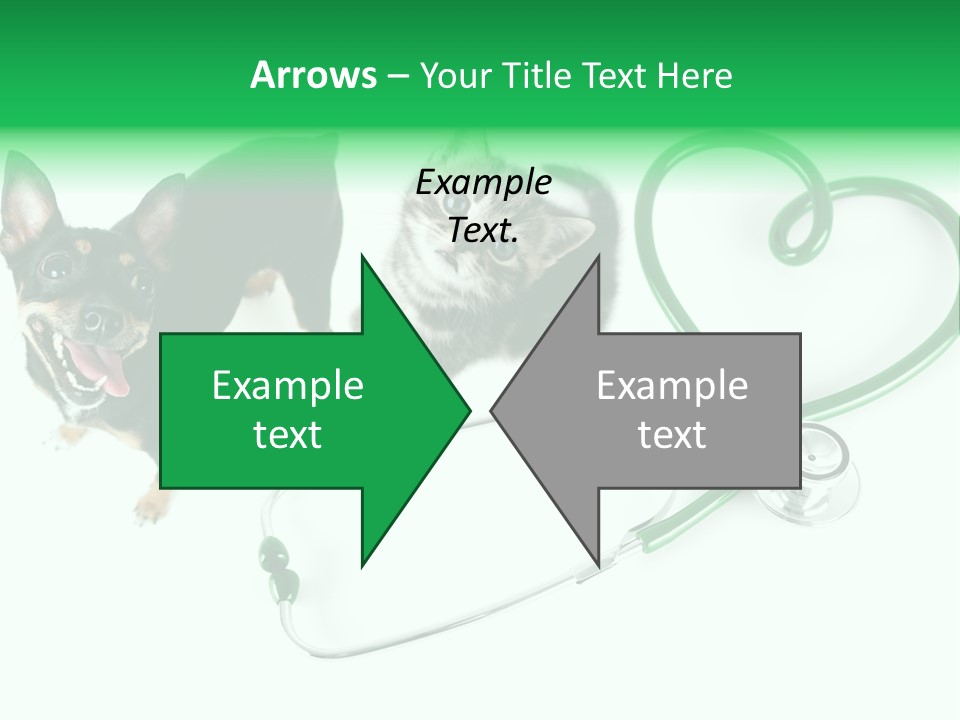 Diagnosis Pet Veterinary PowerPoint Template