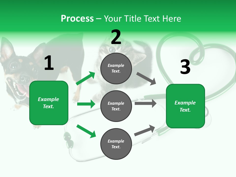 Diagnosis Pet Veterinary PowerPoint Template