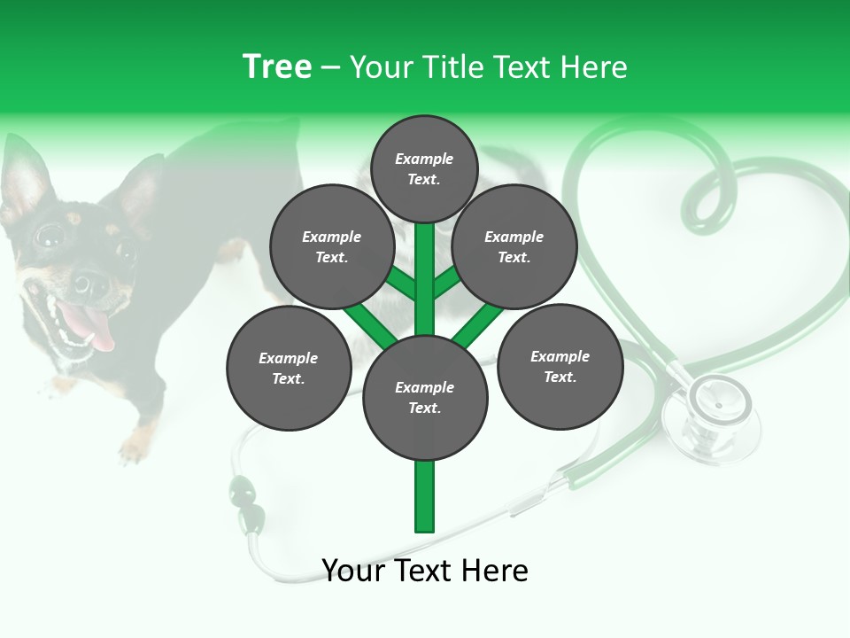 Diagnosis Pet Veterinary PowerPoint Template