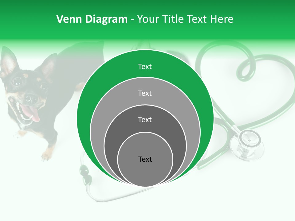 Diagnosis Pet Veterinary PowerPoint Template