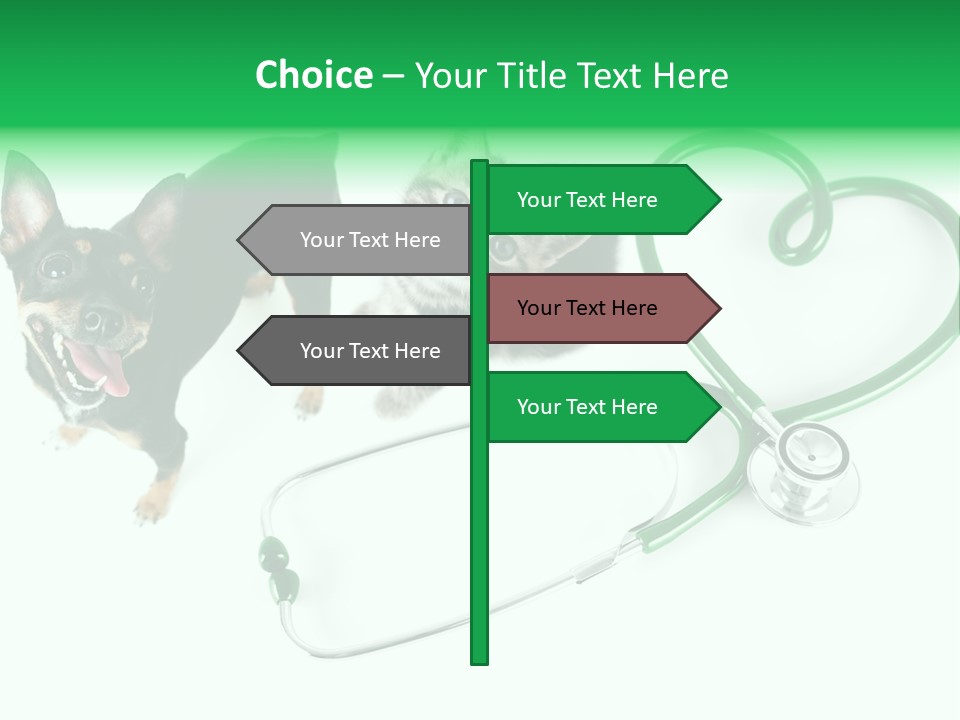 Diagnosis Pet Veterinary PowerPoint Template