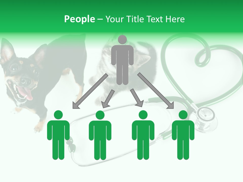 Diagnosis Pet Veterinary PowerPoint Template