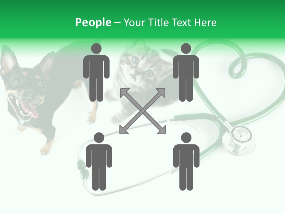 Diagnosis Pet Veterinary PowerPoint Template