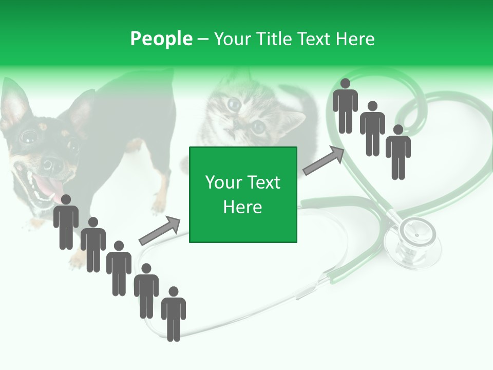 Diagnosis Pet Veterinary PowerPoint Template