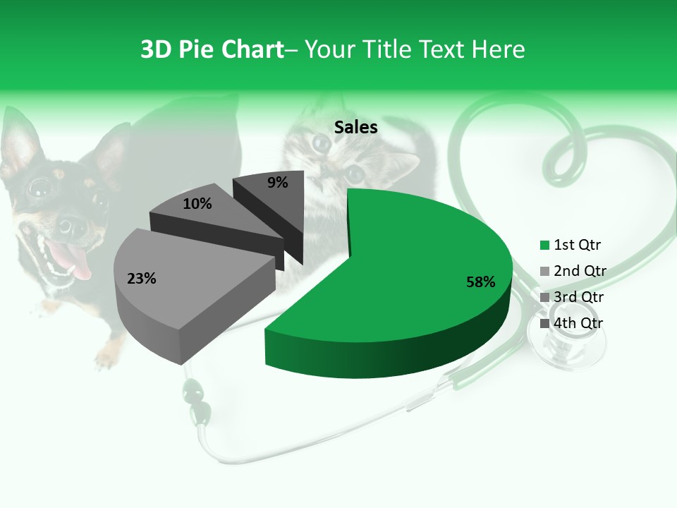 Diagnosis Pet Veterinary PowerPoint Template