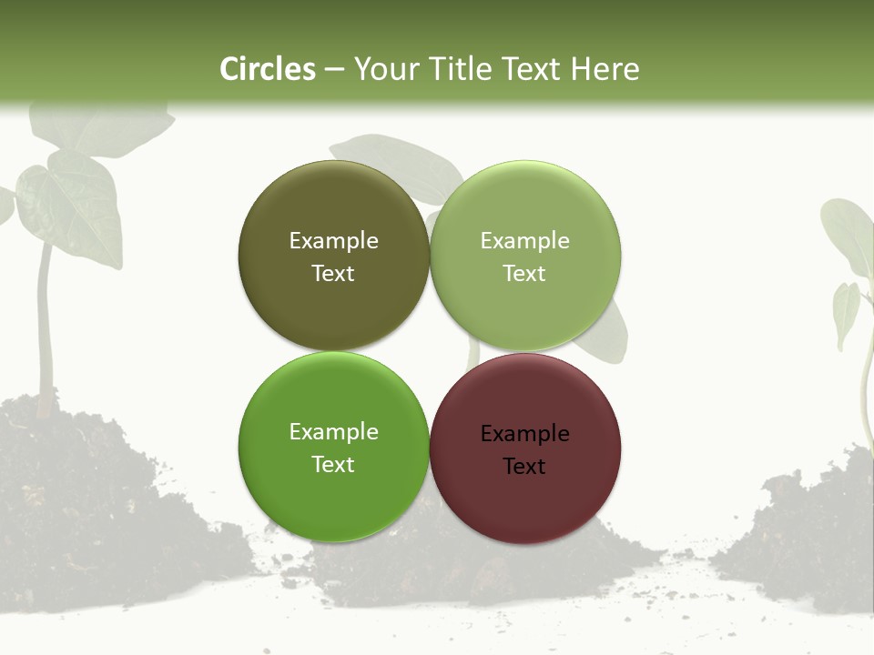 Progress Nature Growing PowerPoint Template