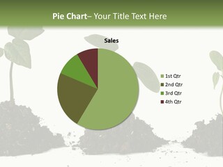 Progress Nature Growing PowerPoint Template