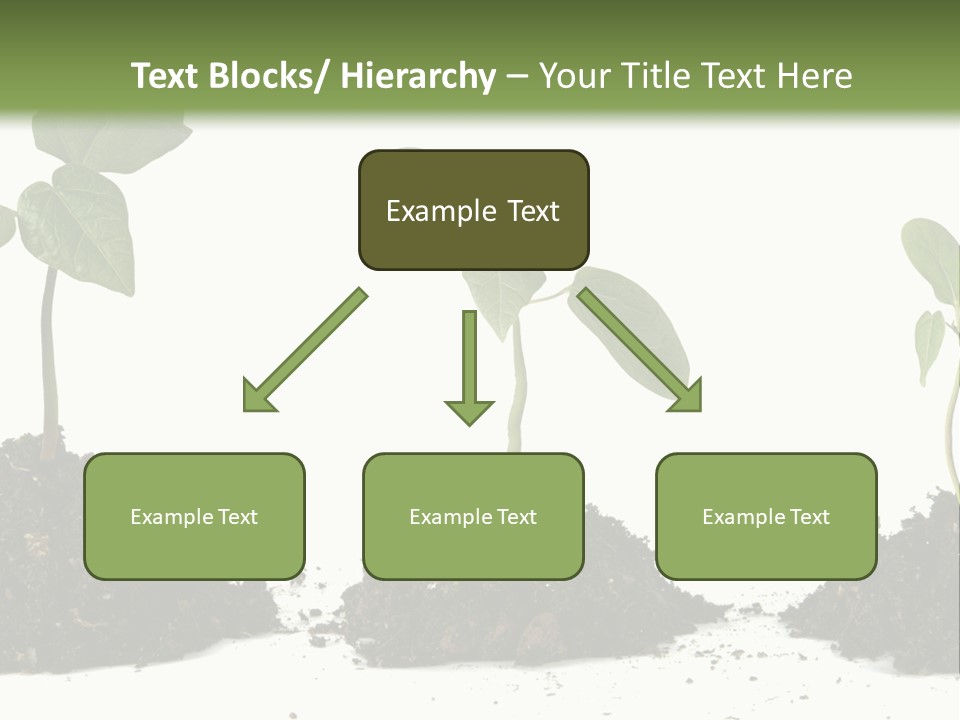 Progress Nature Growing PowerPoint Template