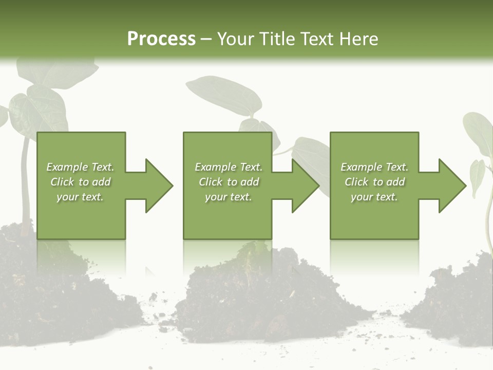 Progress Nature Growing PowerPoint Template