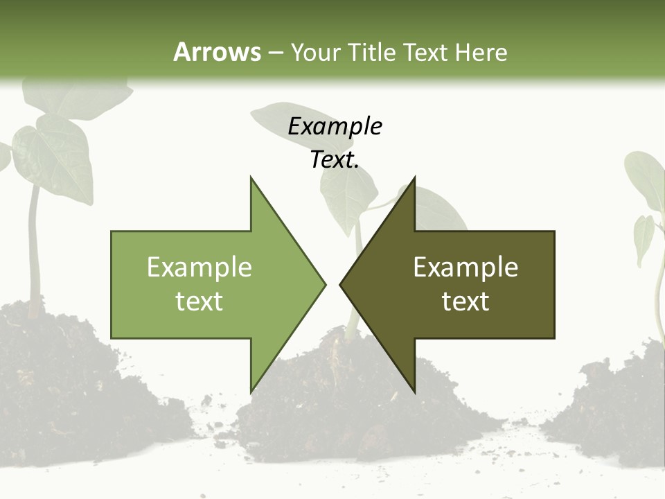 Progress Nature Growing PowerPoint Template