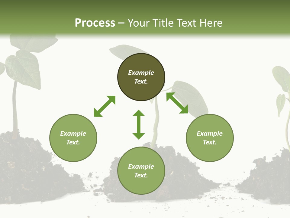 Progress Nature Growing PowerPoint Template