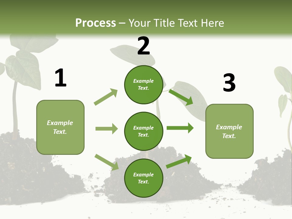 Progress Nature Growing PowerPoint Template
