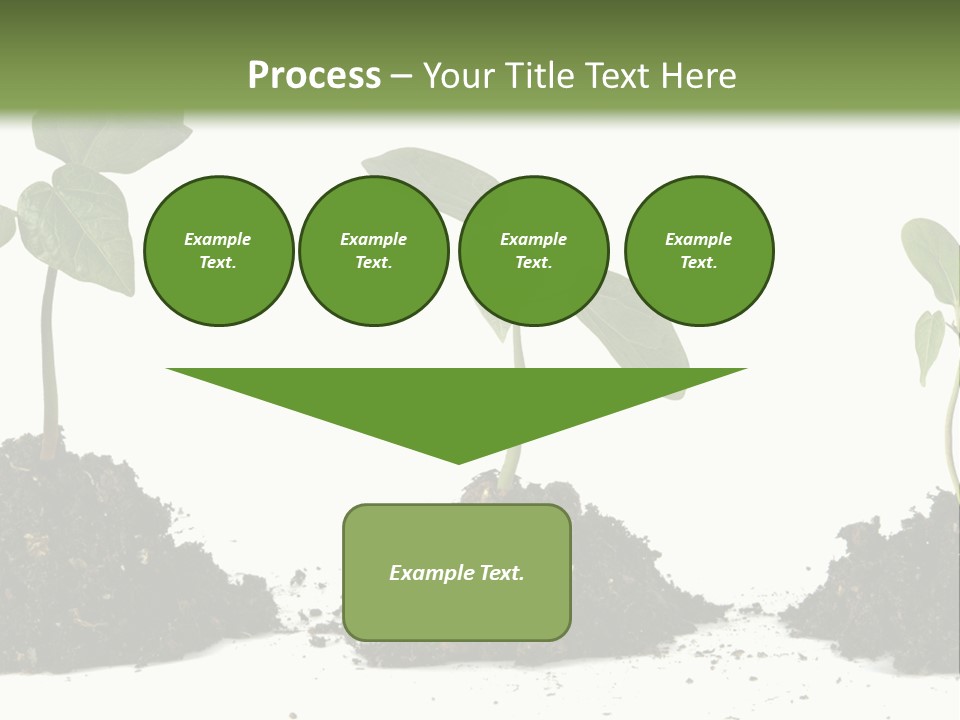 Progress Nature Growing PowerPoint Template