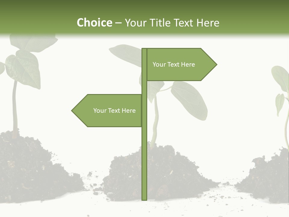 Progress Nature Growing PowerPoint Template