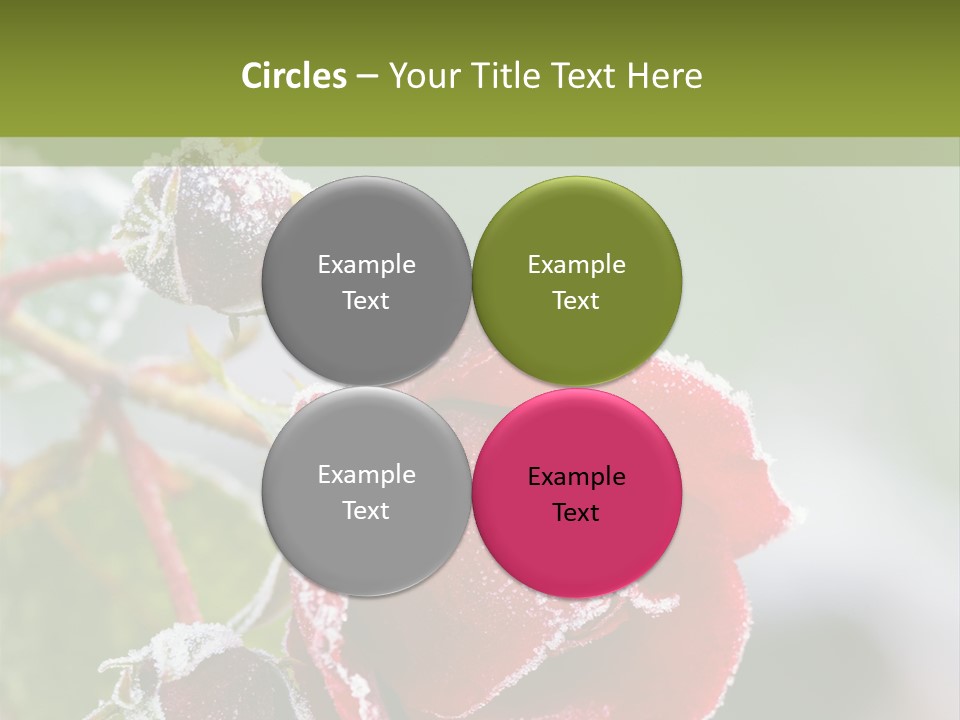 Nature Beauty Covered PowerPoint Template