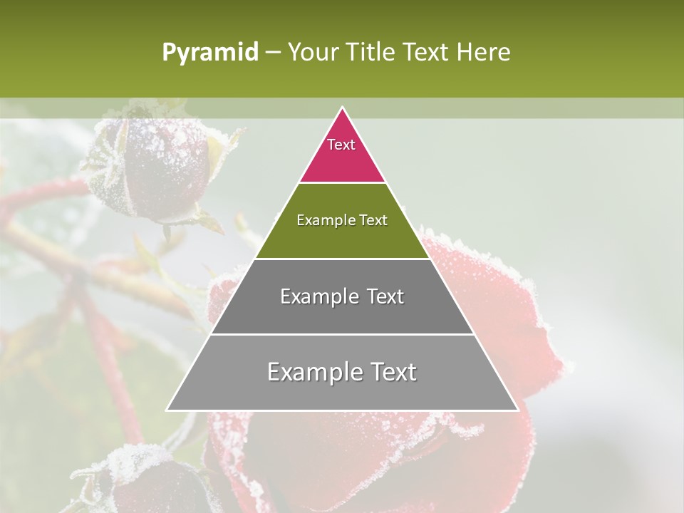 Nature Beauty Covered PowerPoint Template