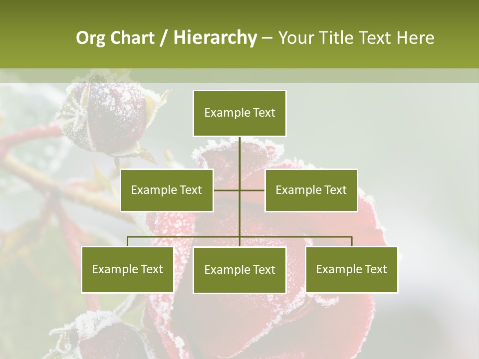 Nature Beauty Covered PowerPoint Template