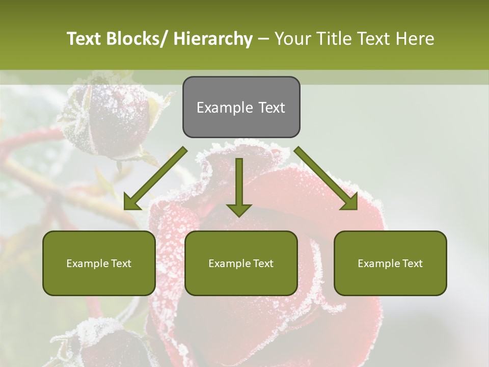 Nature Beauty Covered PowerPoint Template