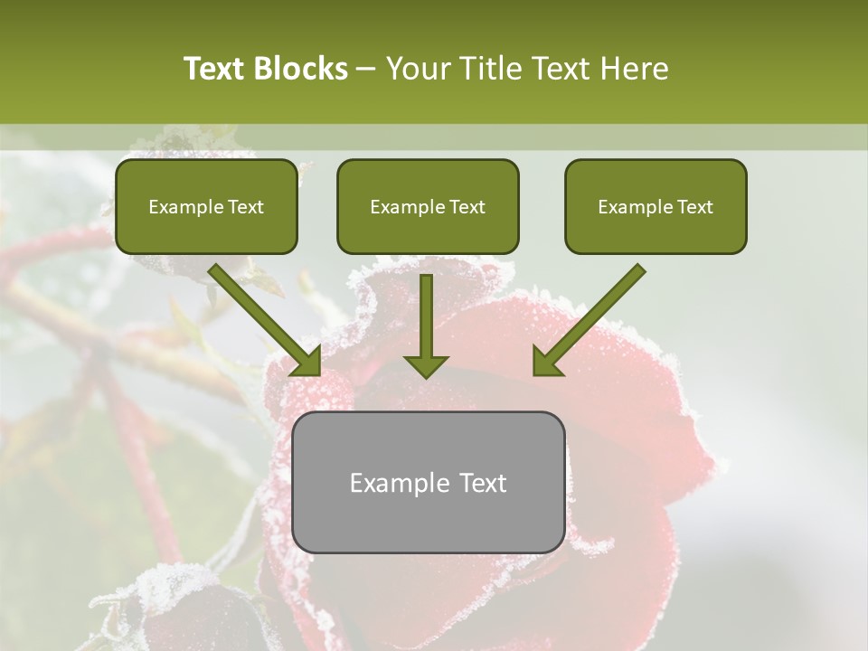 Nature Beauty Covered PowerPoint Template