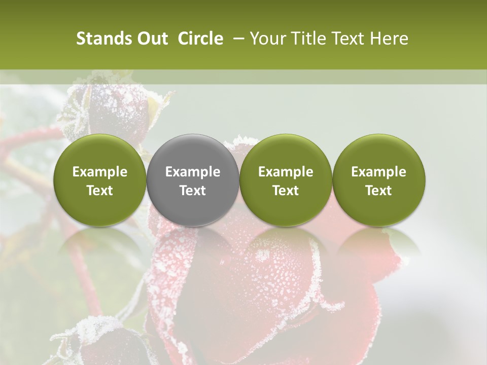Nature Beauty Covered PowerPoint Template