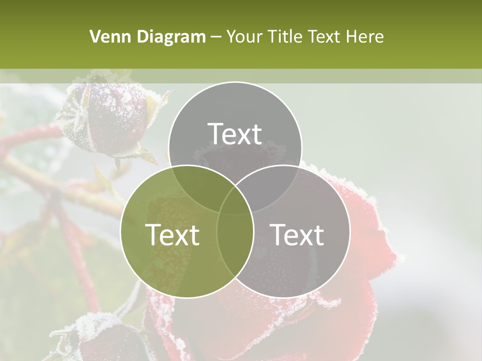 Nature Beauty Covered PowerPoint Template