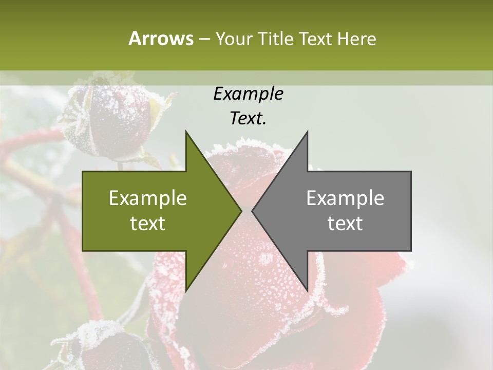 Nature Beauty Covered PowerPoint Template