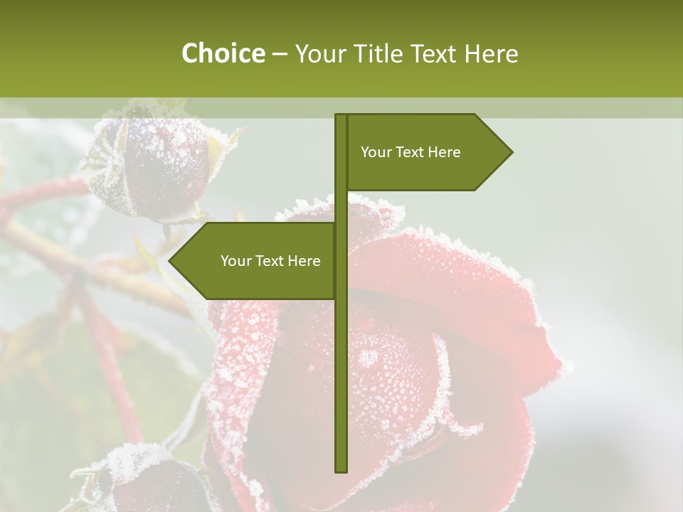 Nature Beauty Covered PowerPoint Template