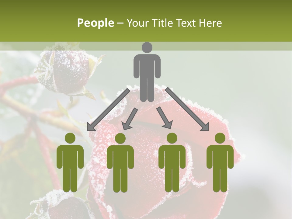 Nature Beauty Covered PowerPoint Template